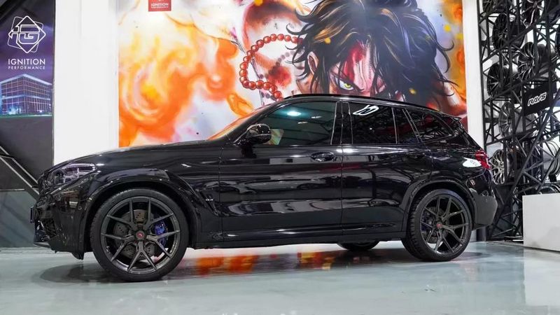 VOSSEN 13.jpg